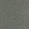 Shagreen 312906